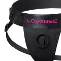 Lovense Dildo Strap-on Harness Askısız Kemer 5