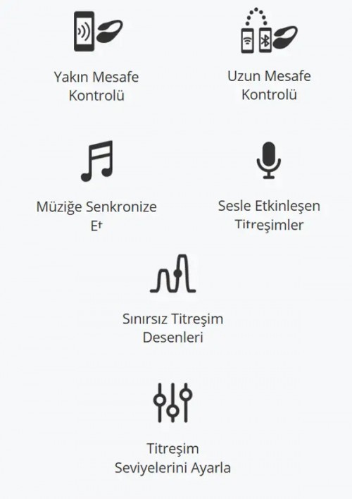 Lovense LUSH Mini Telefon Kontrollü Giyilebilir G-Noktası Vibaratörü Ek Resim