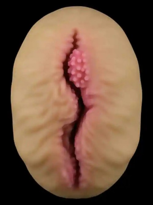 LoveToy Alien’s Pie #1 Mastürbator 23 cm 4