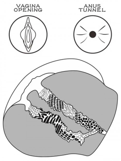 LoveToy Streetgirl’s Bitch Çift Girişli Gerçekçi Tangalı Siyah Kalça 2.5 kg 6