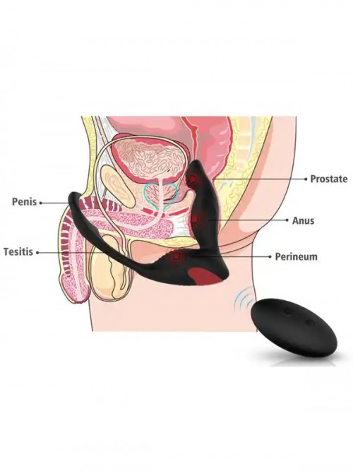 Langer-RTC Prostat ve Penis Halkalı Şarjlı Uzaktan Kumandalı Anal Vibratör Ek Resim