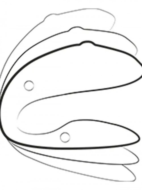 We-Vibe Chorus Çiftler İçin Telefon Uyumlu Vibratör Pembe Ek Resim